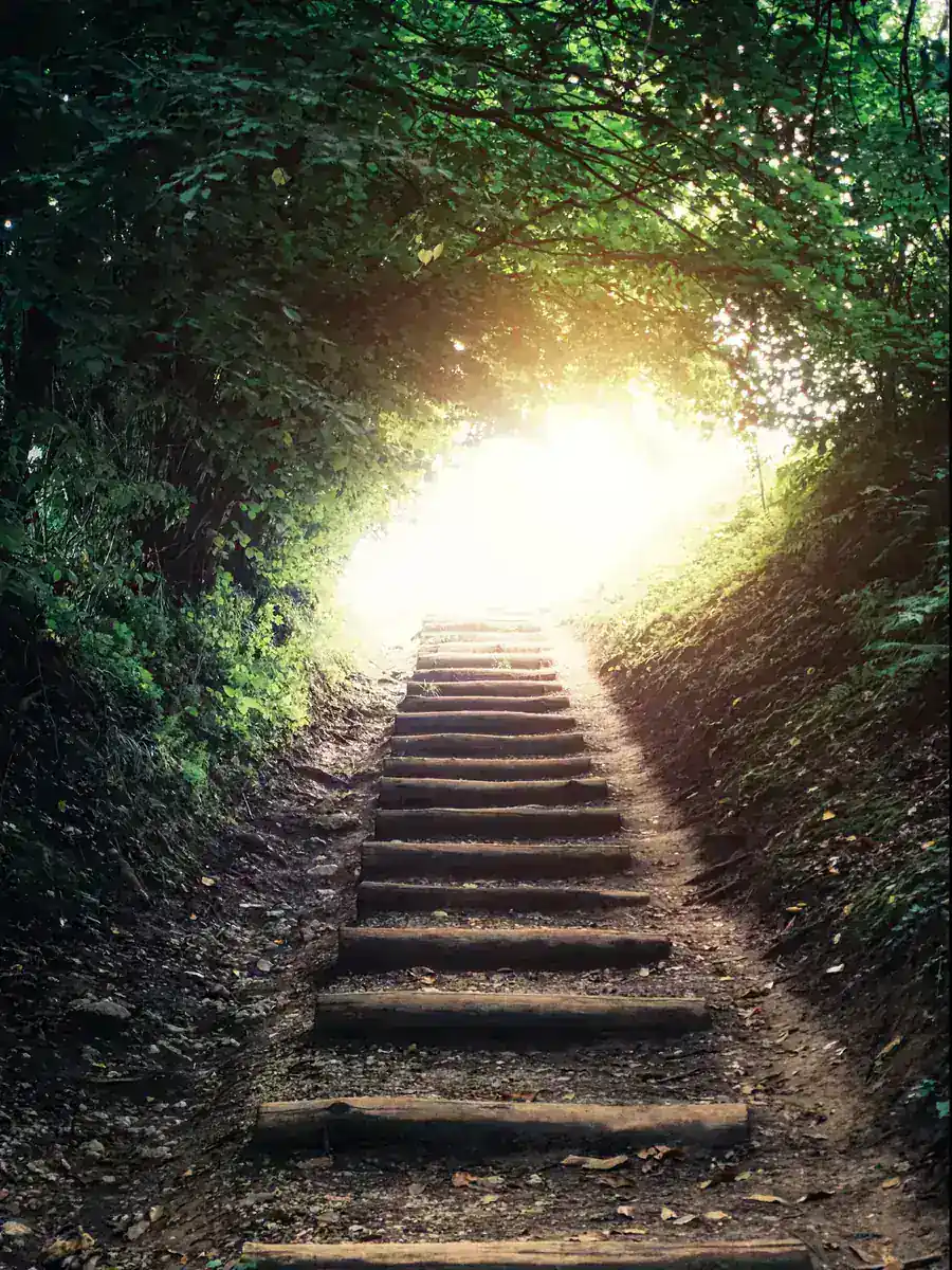 Weathered stone steps climbing through a dark wood toward an opening full of golden light, the inward journey beneath the surface of a successful life